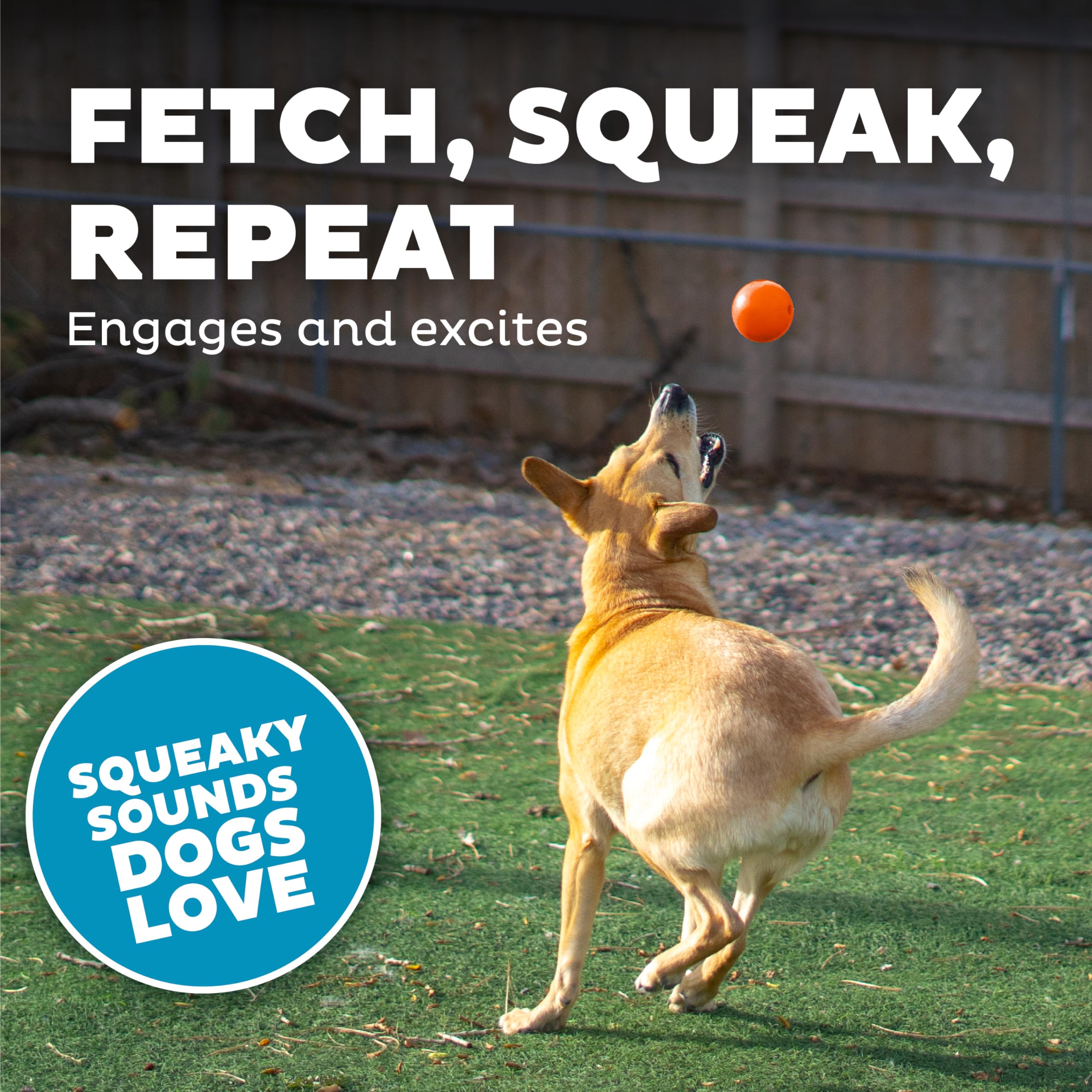 Outward Hound Squeak Ball, adaptée à toutes les tailles de chiens pour divers jeux.