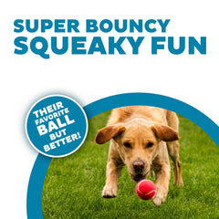 Outward Hound Squeaker Ballz: balle couleur lumineuse idéale fetch intérieur et extérieur