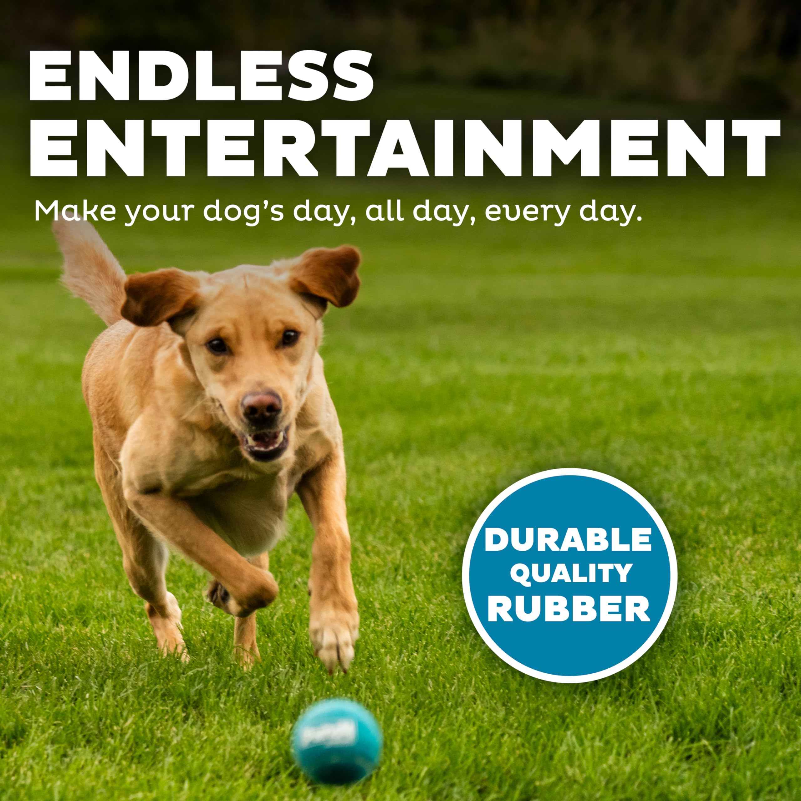 Outward Hound Squeaker Ballz: balle facile à repérer grâce aux couleurs vives