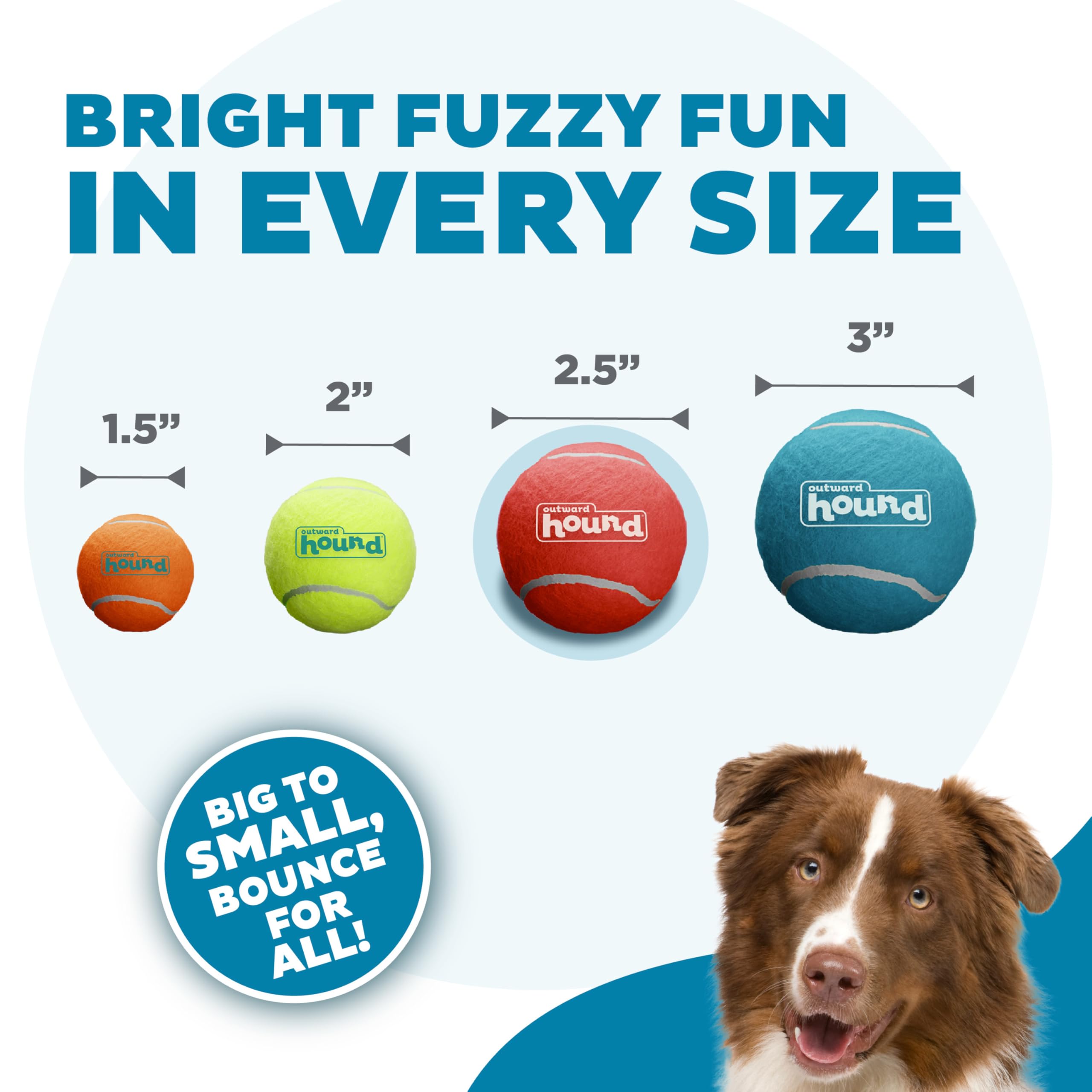 Outward Hound Squeaker Ballz, balle-sifflement-2-5-pouces bleu, durabilité et rebond satisfaisants.