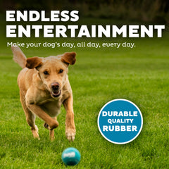 Outward Hound Squeaker Ballz, balle-sifflement-2-5-pouces jaune, haute visibilité pour les jeux intérieurs.