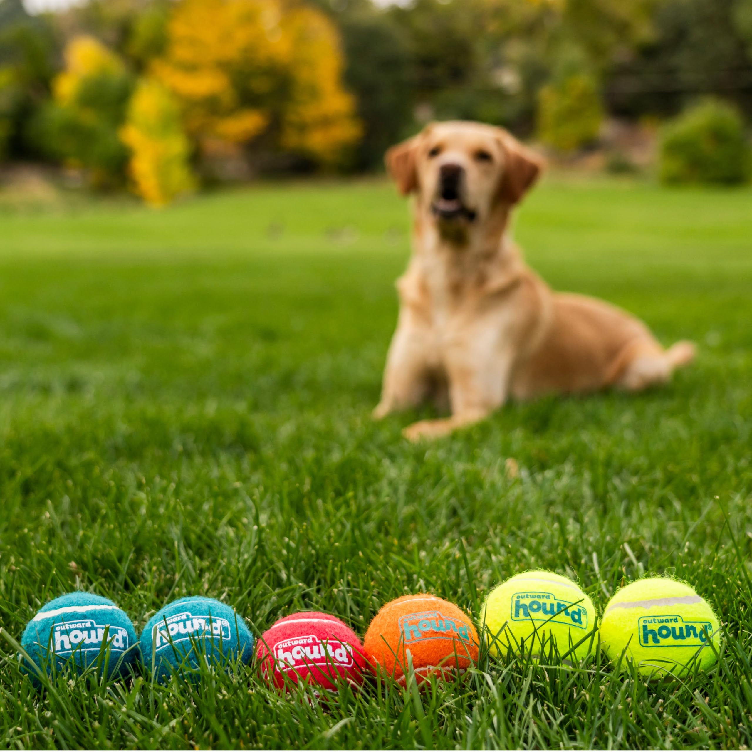 Outward Hound Squeaker Ballz, balle-sifflement-2-5-pouces rose, attire l’attention du chien.