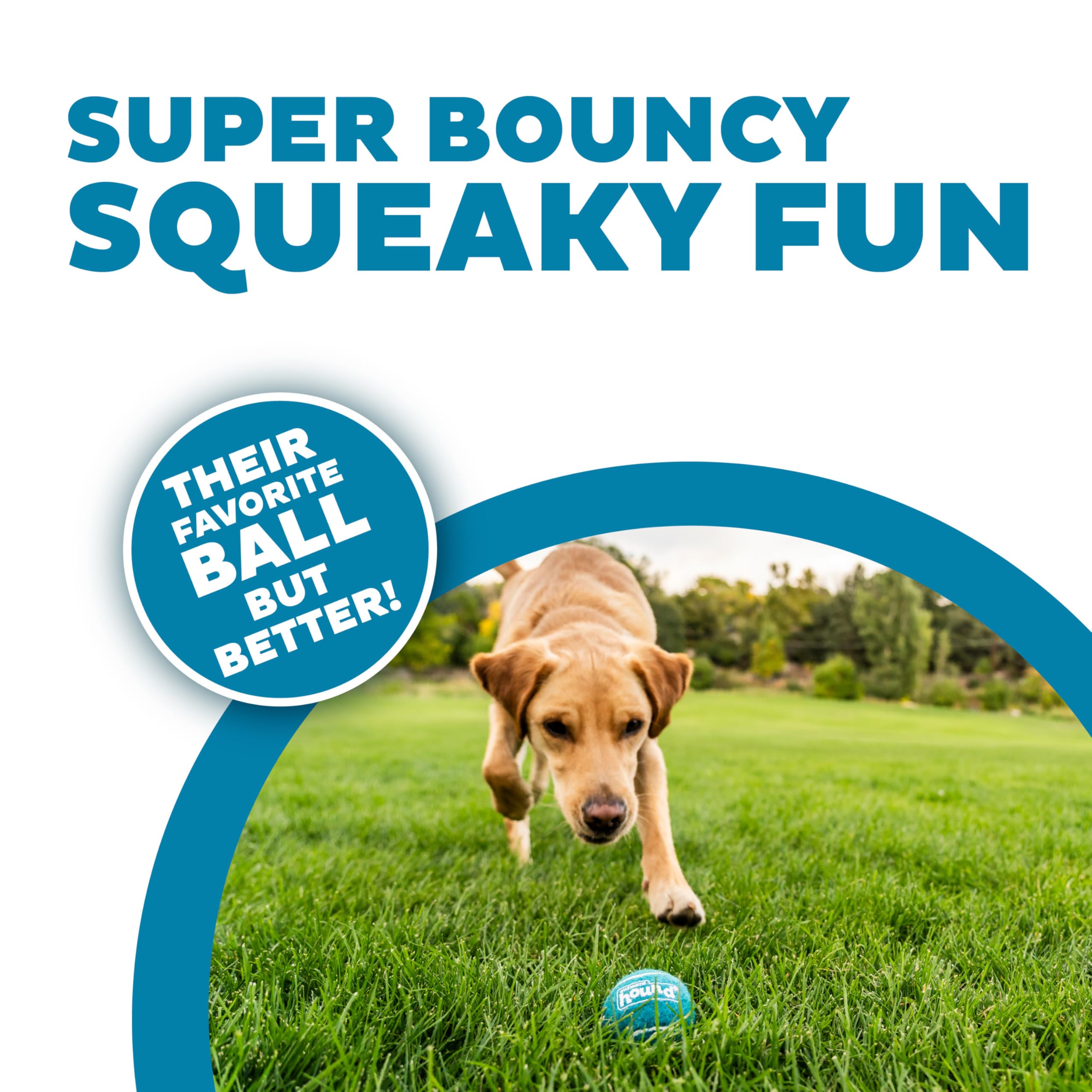 Outward Hound Squeaker Ballz, balle-sifflement-2-5-pouces vert, parfaite pour entraînement interactif.