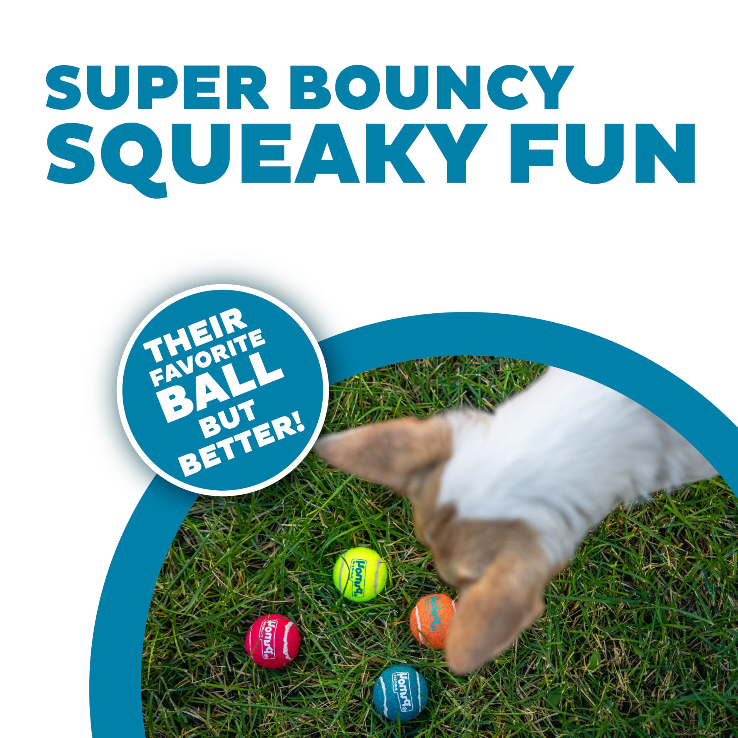 Outward Hound Squeaker Ballz balle mini 1,5 pouces bleue parfaite pour l'entraînement.