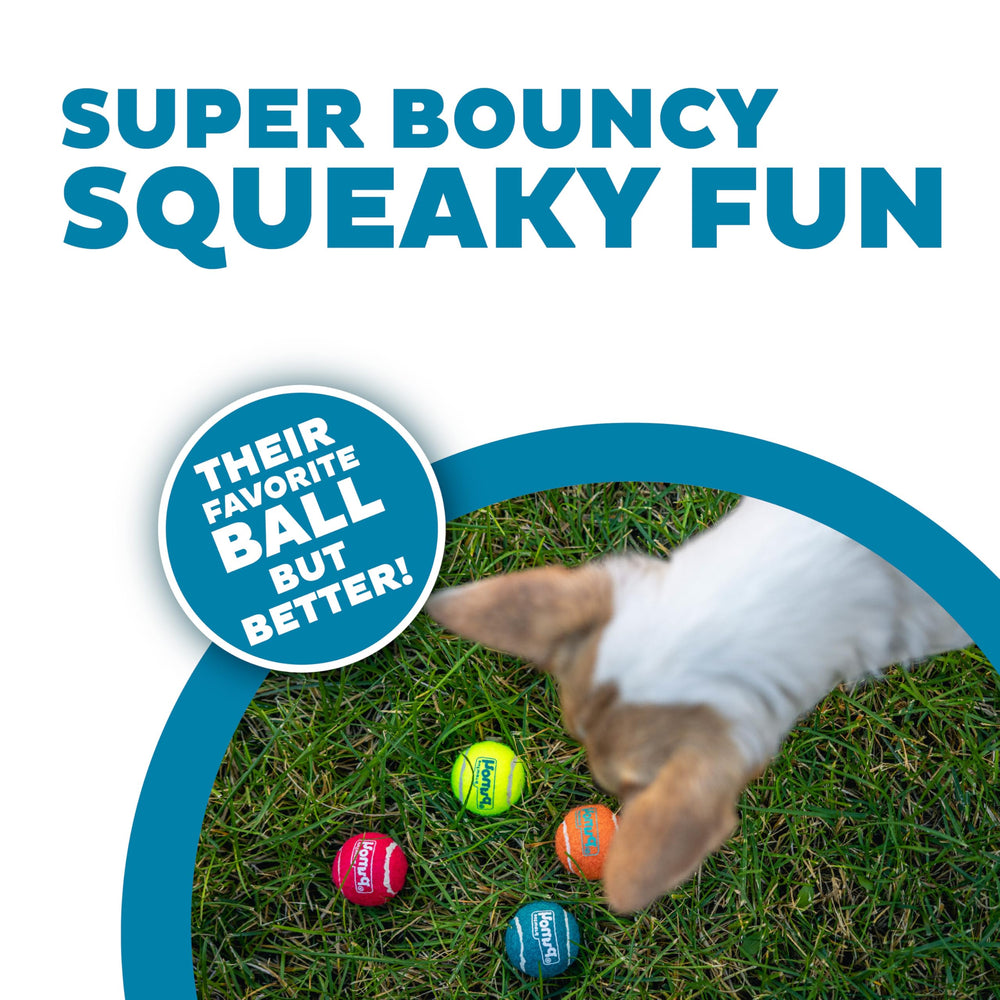 Outward Hound Squeaker Ballz balle mini 1,5 pouces bleue parfaite pour l'entraînement.