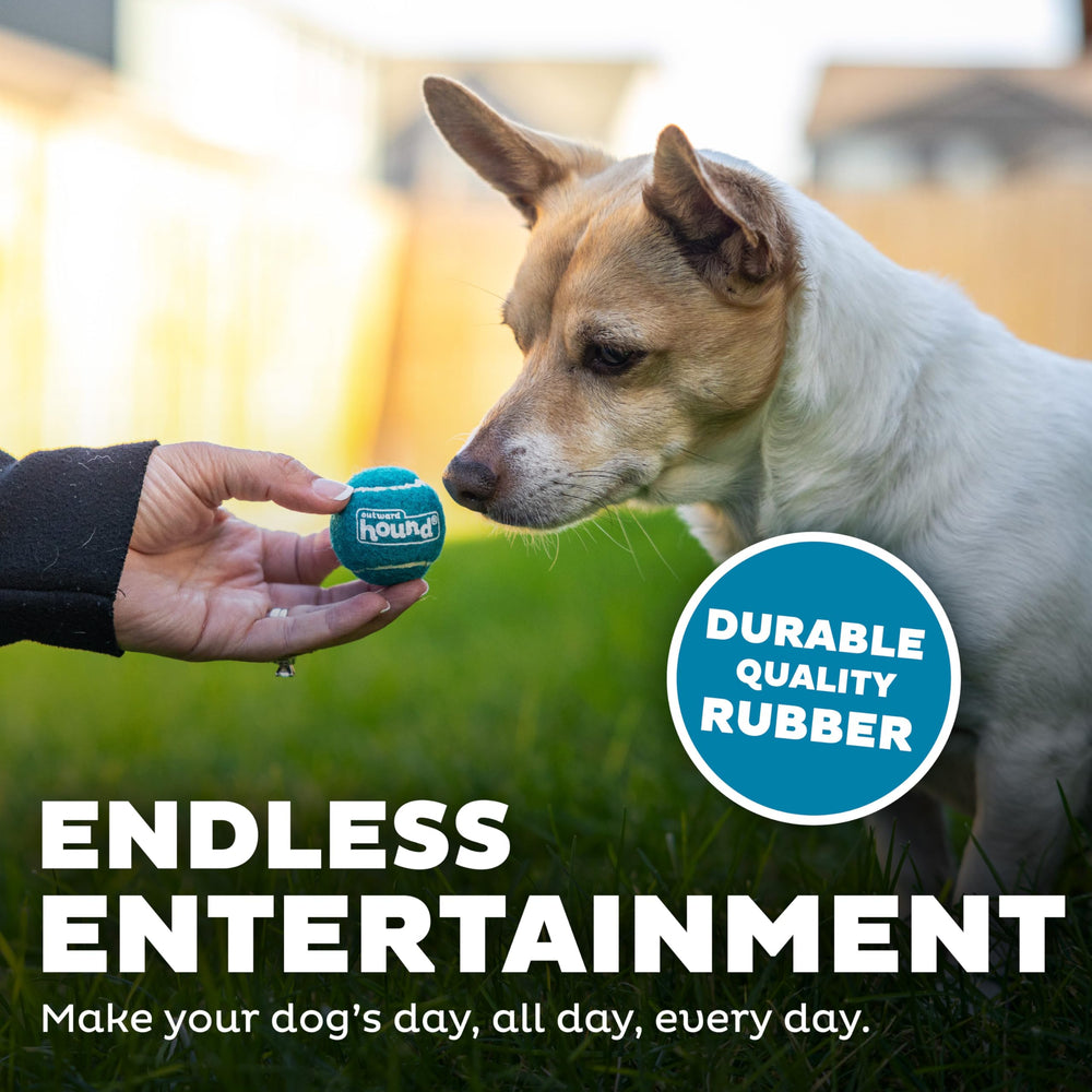 Outward Hound Squeaker Ballz balle mini 1,5 pouces rose excellent pour le rappel.