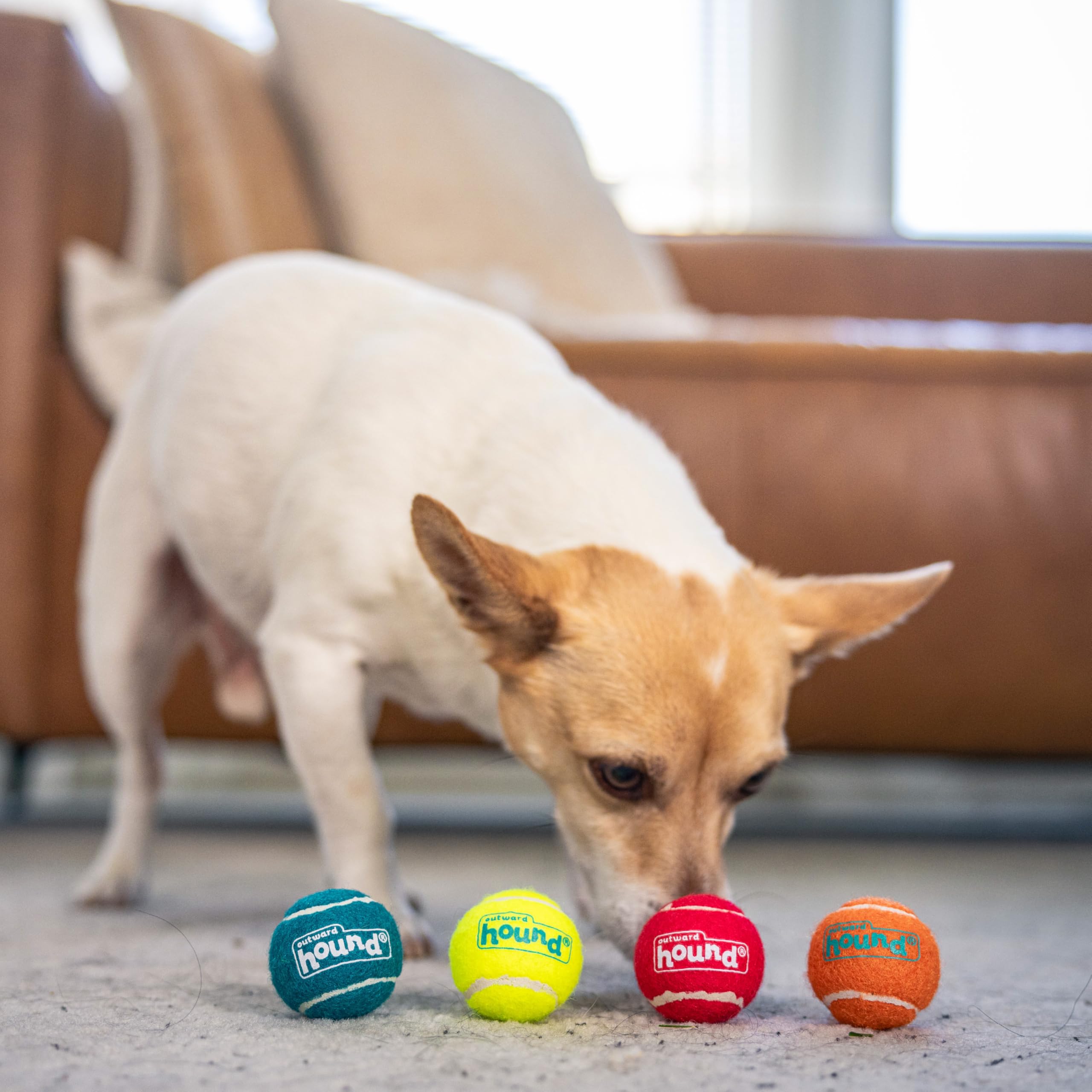 Outward Hound Squeaker Ballz balle mini 1,5 pouces vert facile à repérer.