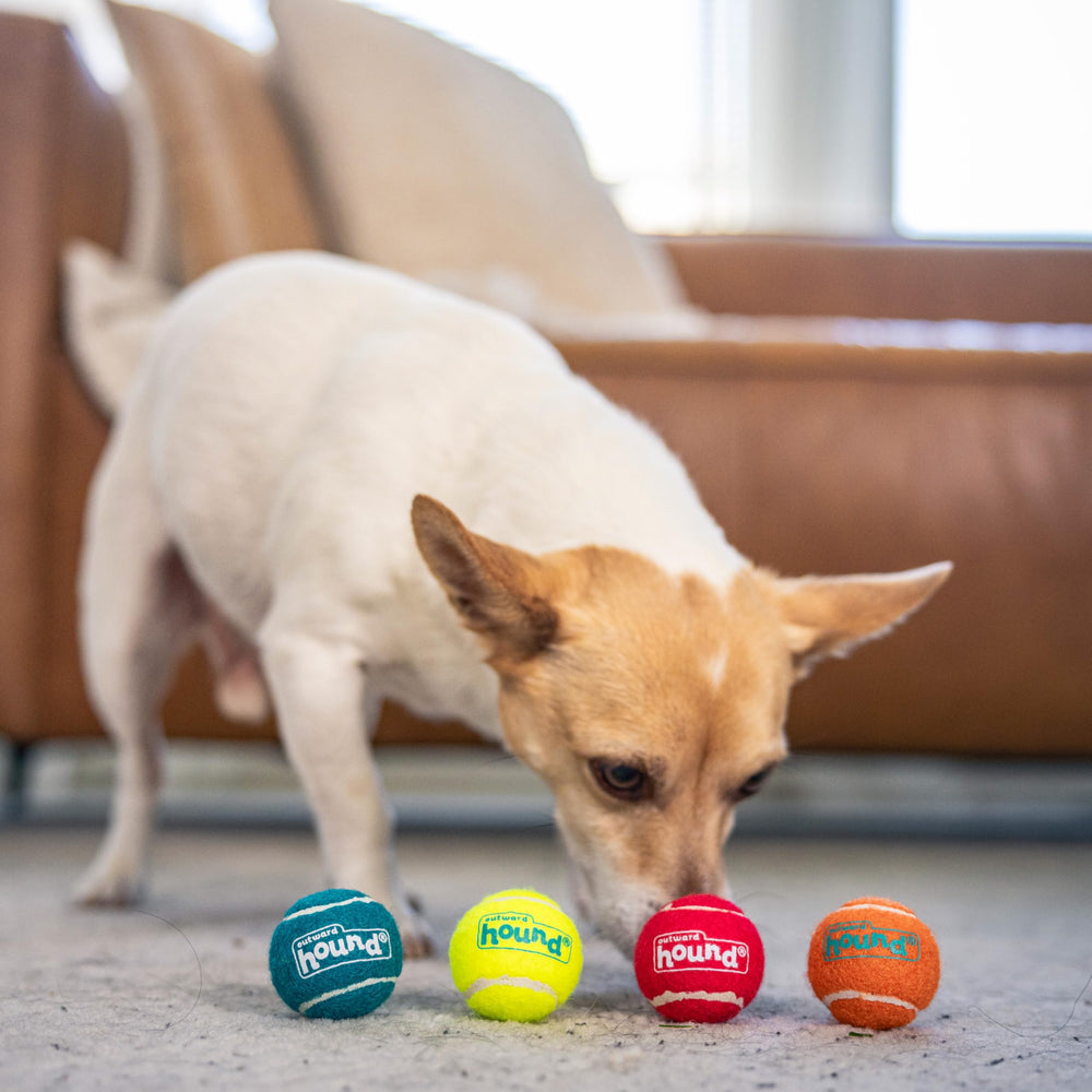 Outward Hound Squeaker Ballz balle mini 1,5 pouces vert facile à repérer.