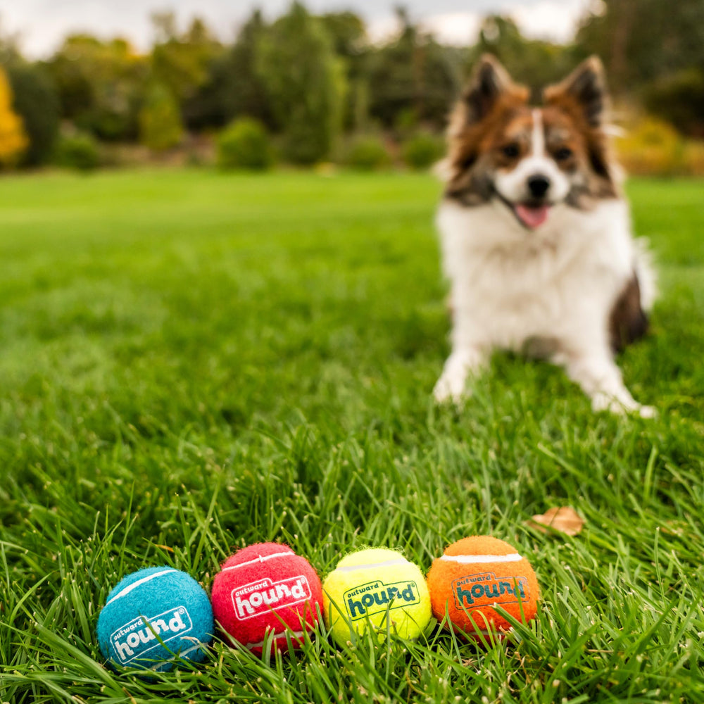 Outward Hound Squeaker Ballz – Caoutchouc premium et surface robuste pour des jeux durables.