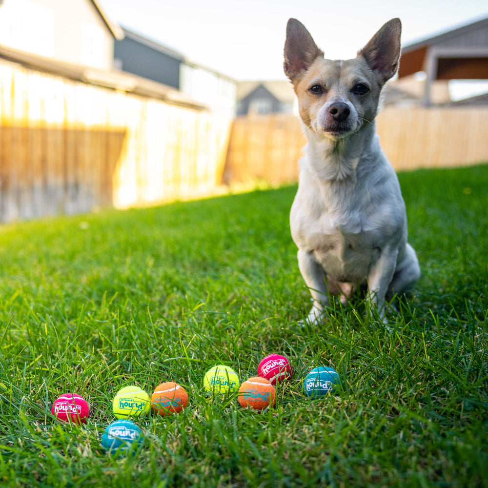 Outward Hound Squeaker Ballz: conçu pour intérieur et extérieur, jouer partout.