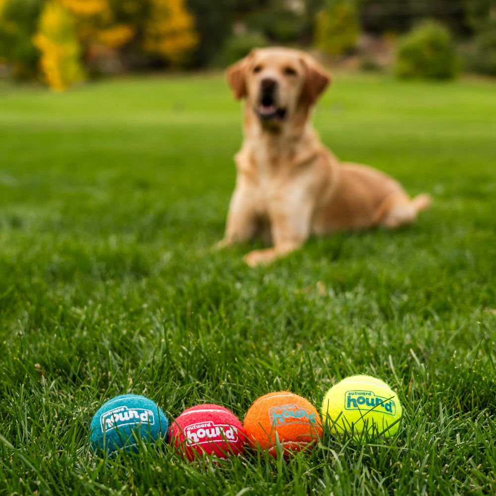 Outward Hound Squeaker Ballz: outil d entrainement renforçant le lien chien-proprietaire