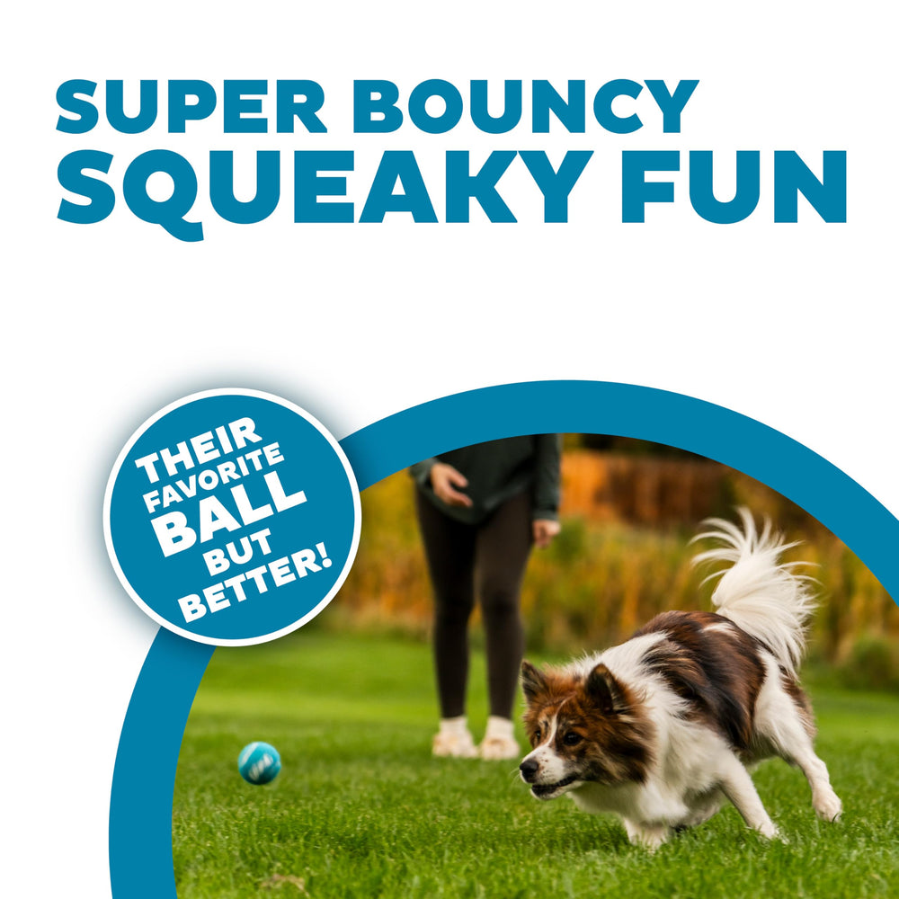 Outward Hound Squeaker Ballz – Lot de 4 balles 2 pouces, idéales pour petits chiens.