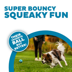 Outward Hound Squeaker Ballz – Lot de 4 balles 2 pouces, idéales pour petits chiens.
