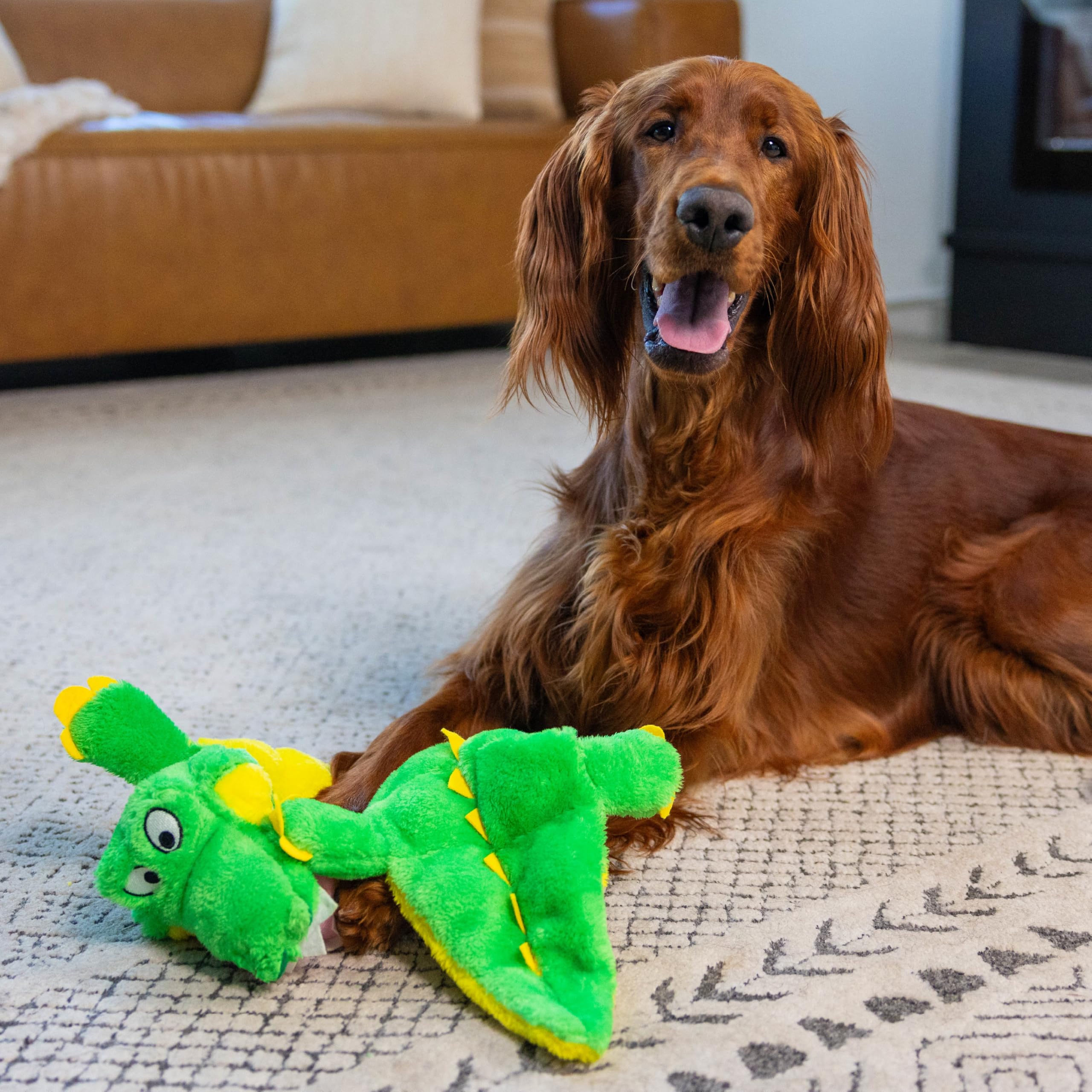 Outward Hound Squeaker Matz Gator XL – rembourrage minimal pour moins de nettoyage