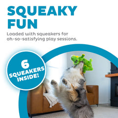 Outward Hound Squeaker Matz Gator, sifflets multiples pour un son captivant.