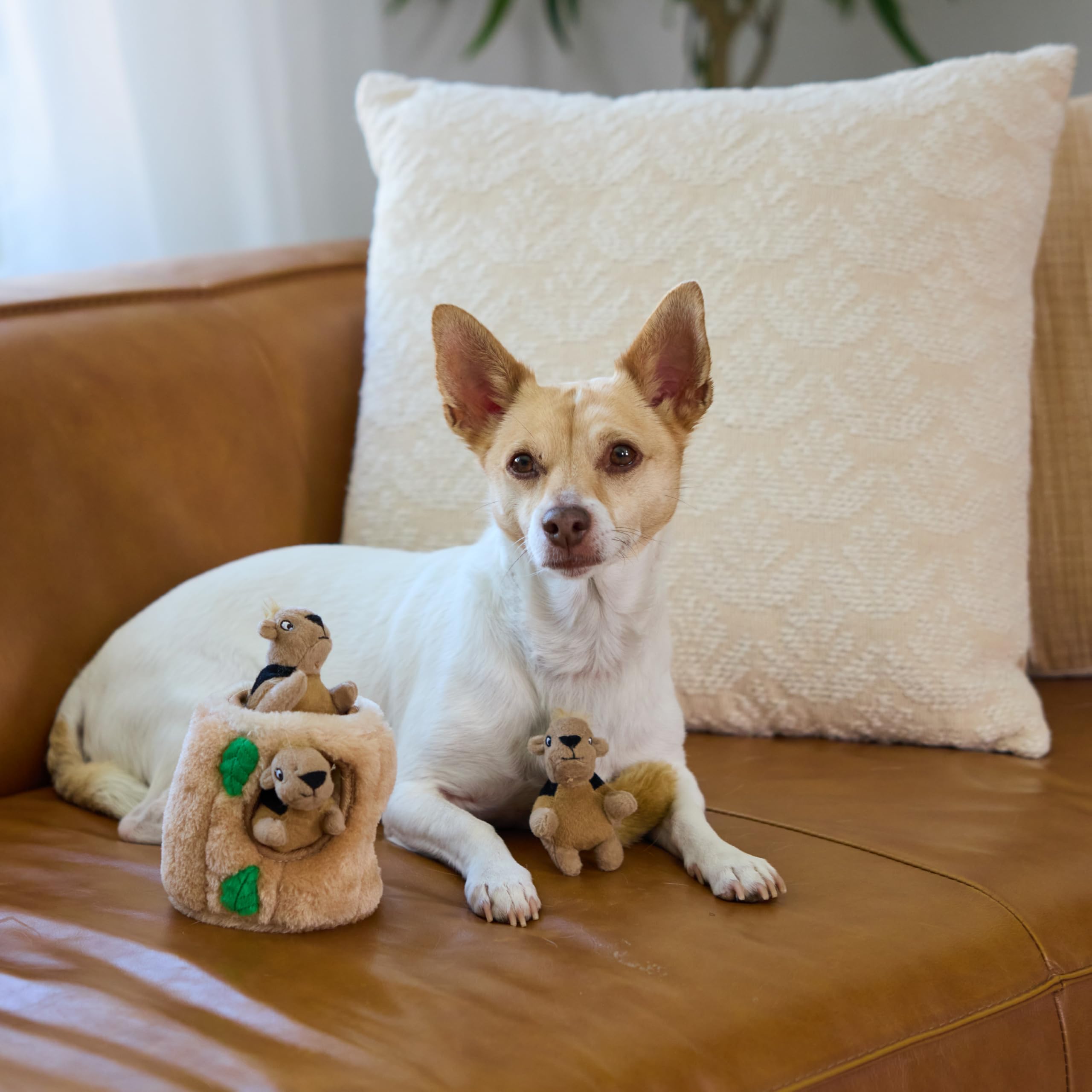 Outward Hound Squeakin Squirrels – idéal pour le jeu en solo et activité ludique.