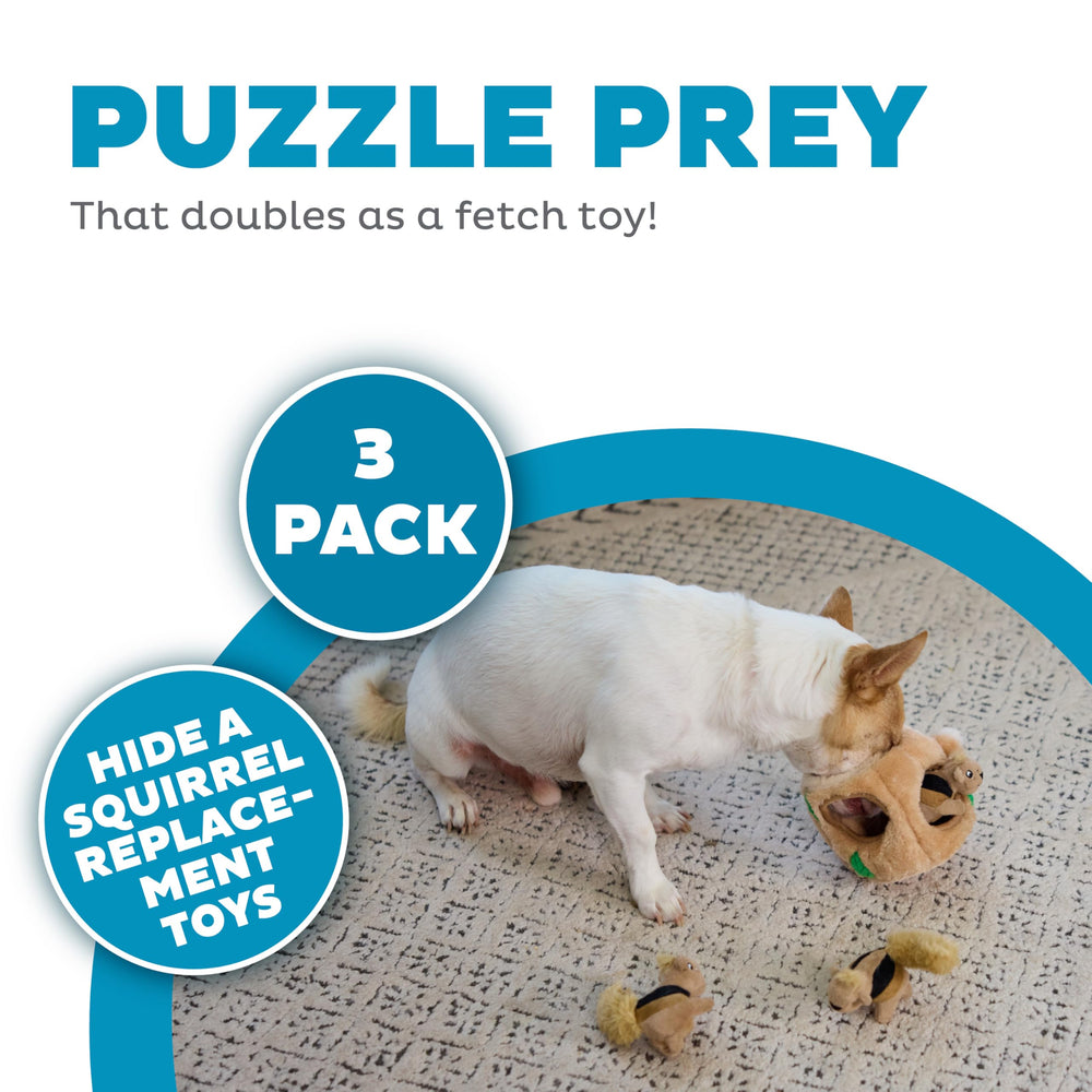 Outward Hound Squeakin Squirrels – jouet à couineur pour chiots, stimulation de jeu.