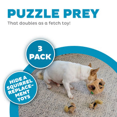 Outward Hound Squeakin Squirrels – jouet à couineur pour chiots, stimulation de jeu.