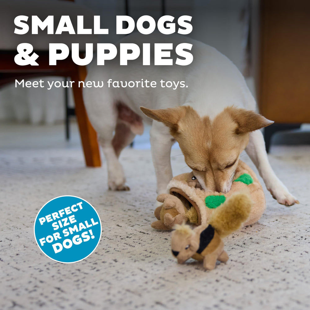 Outward Hound Squeakin Squirrels – pièces de remplacement pour puzzle Hide-A-Squirrel.