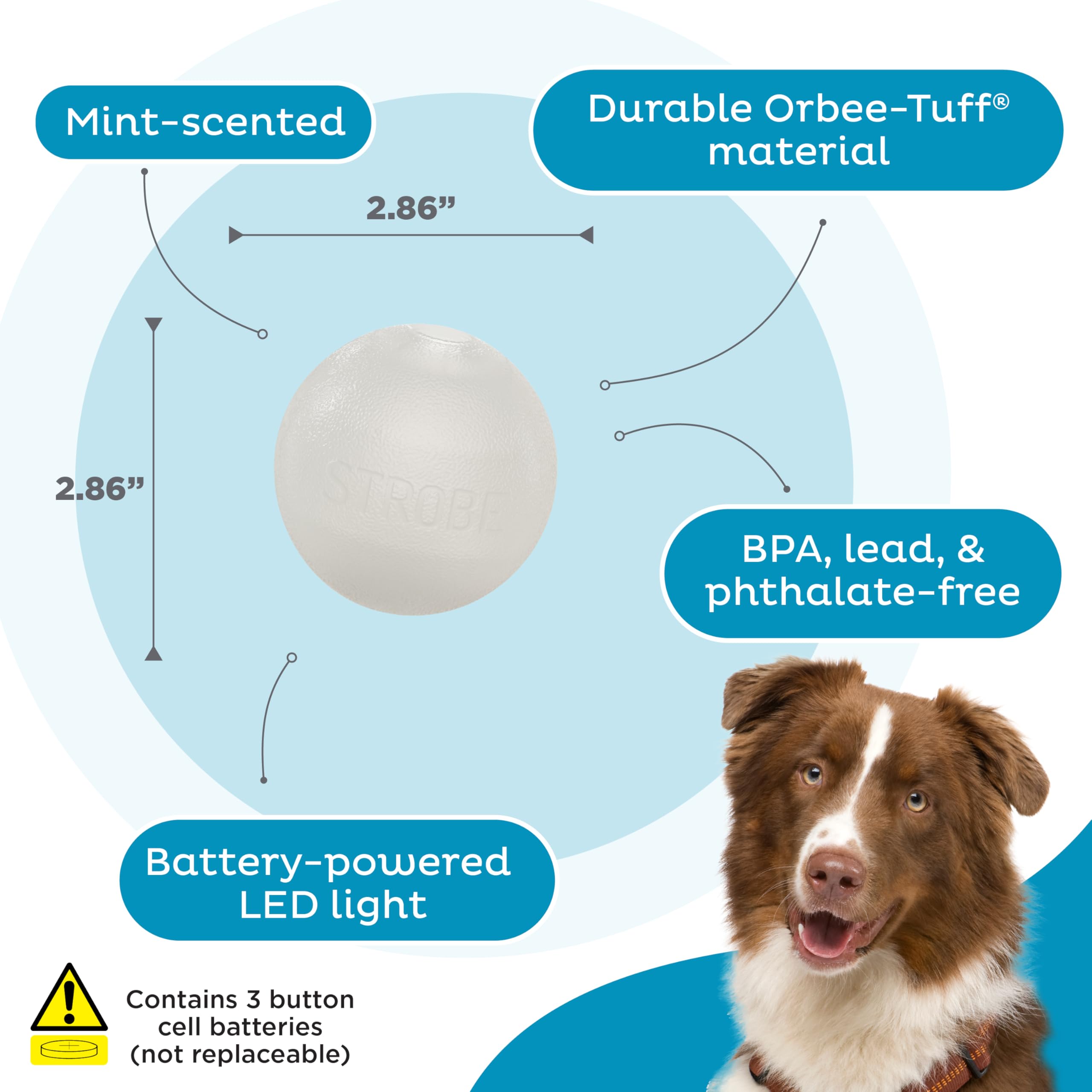 Outward Hound Strobe Ball Glo senteur menthe intégrée pour sessions longues.