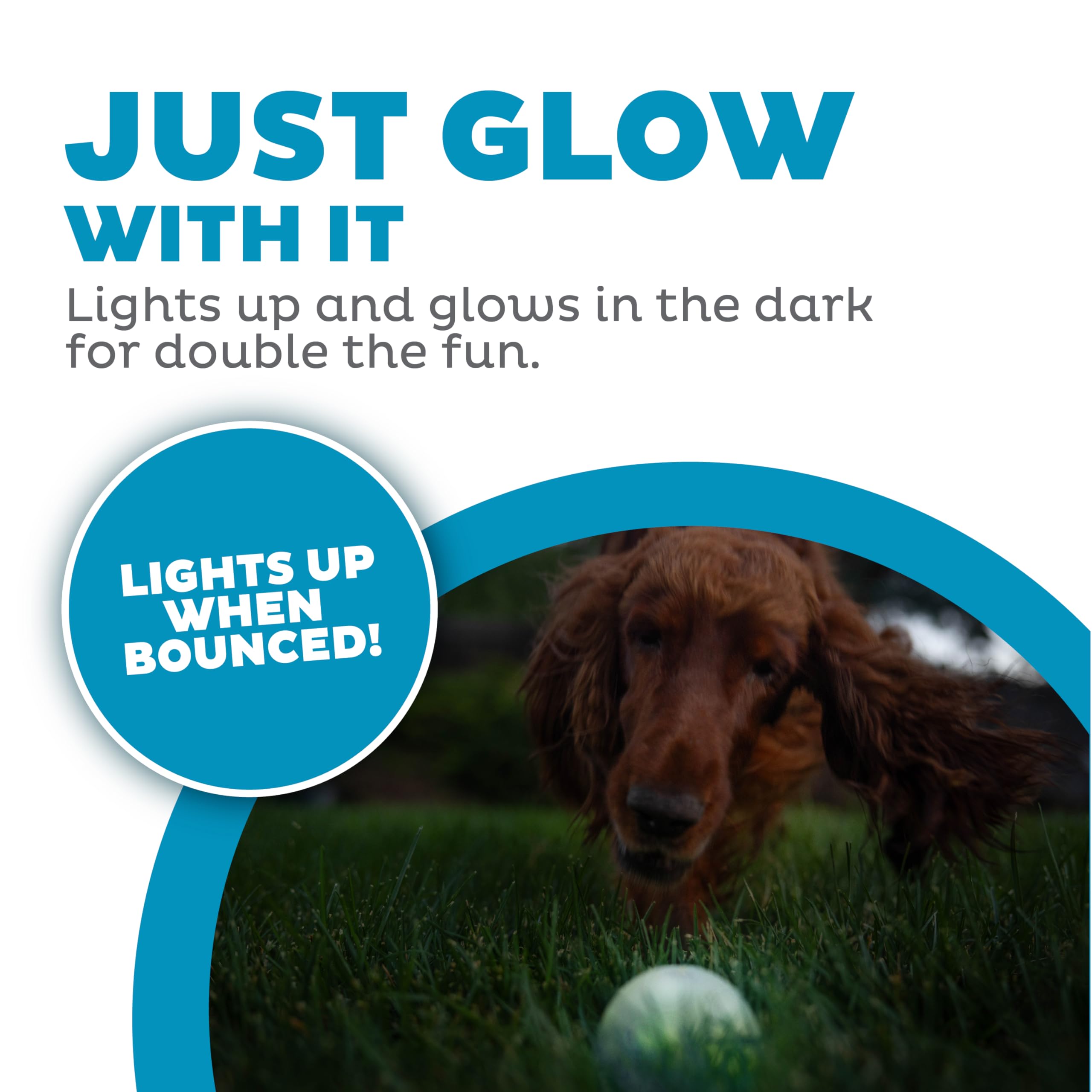 Outward Hound Strobe Ball Glo Orbee-Tuff, matériau durable.