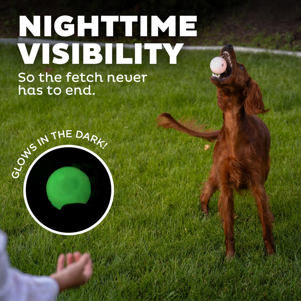 Outward Hound Strobe Ball Glo énergie lumineuse grâce à la pile bouton.