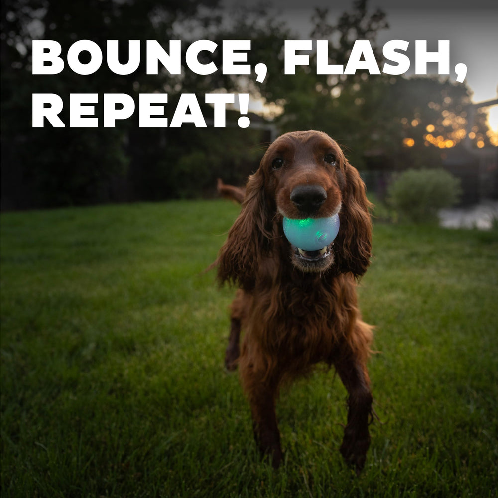 Outward Hound Strobe Ball Glo sans BPA pour une utilisation sûre.