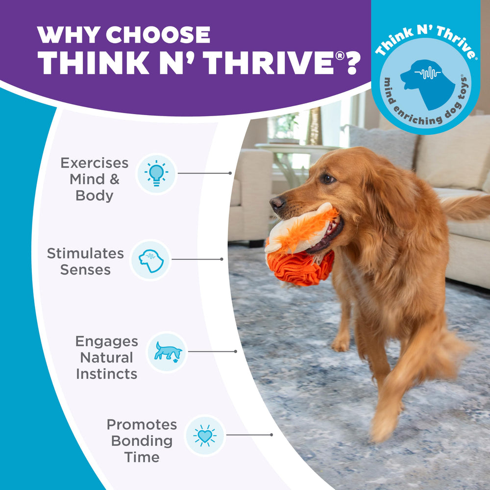 Outward Hound Stuff N Snuffle, balle-snuffle-lion-robuste: résiste aux jeux actifs.