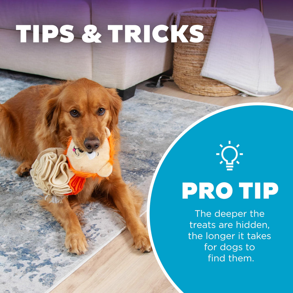Outward Hound Stuff N Snuffle, doudou-lion-boost: prolonge le jeu avec des friandises enfouies.