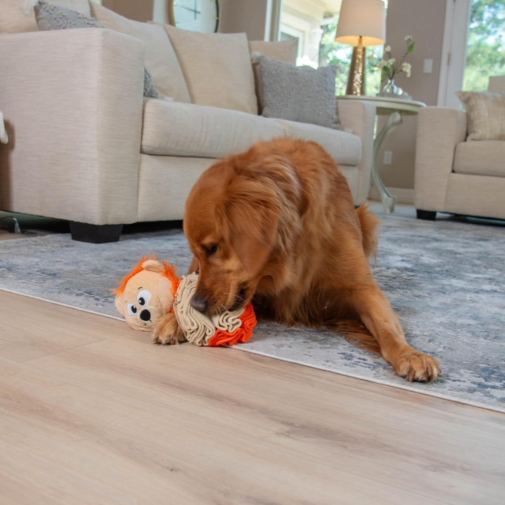 Outward Hound Stuff N Snuffle, doudou-lion-multicolore: sessions quotidiennes idéales.