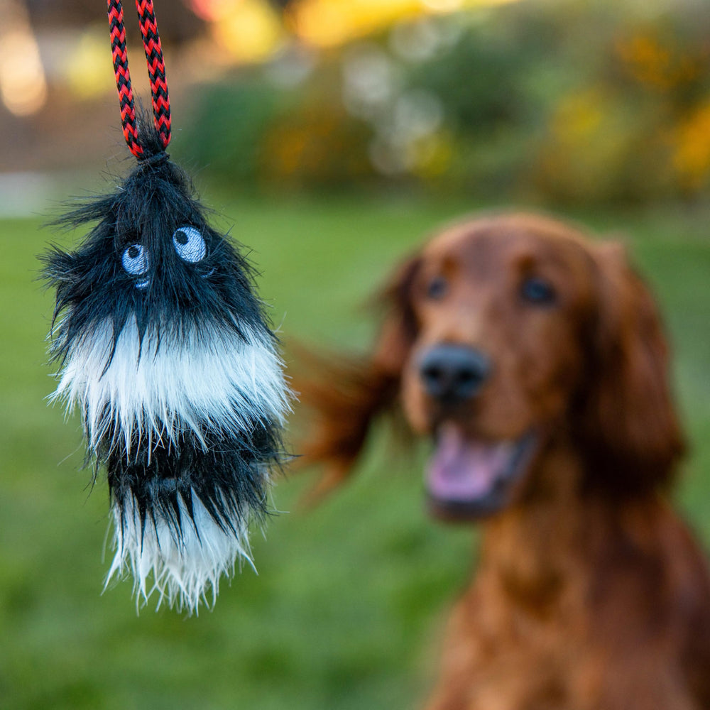 Outward Hound Tail Teaser favorise interaction et exercice physique chez votre chien.
