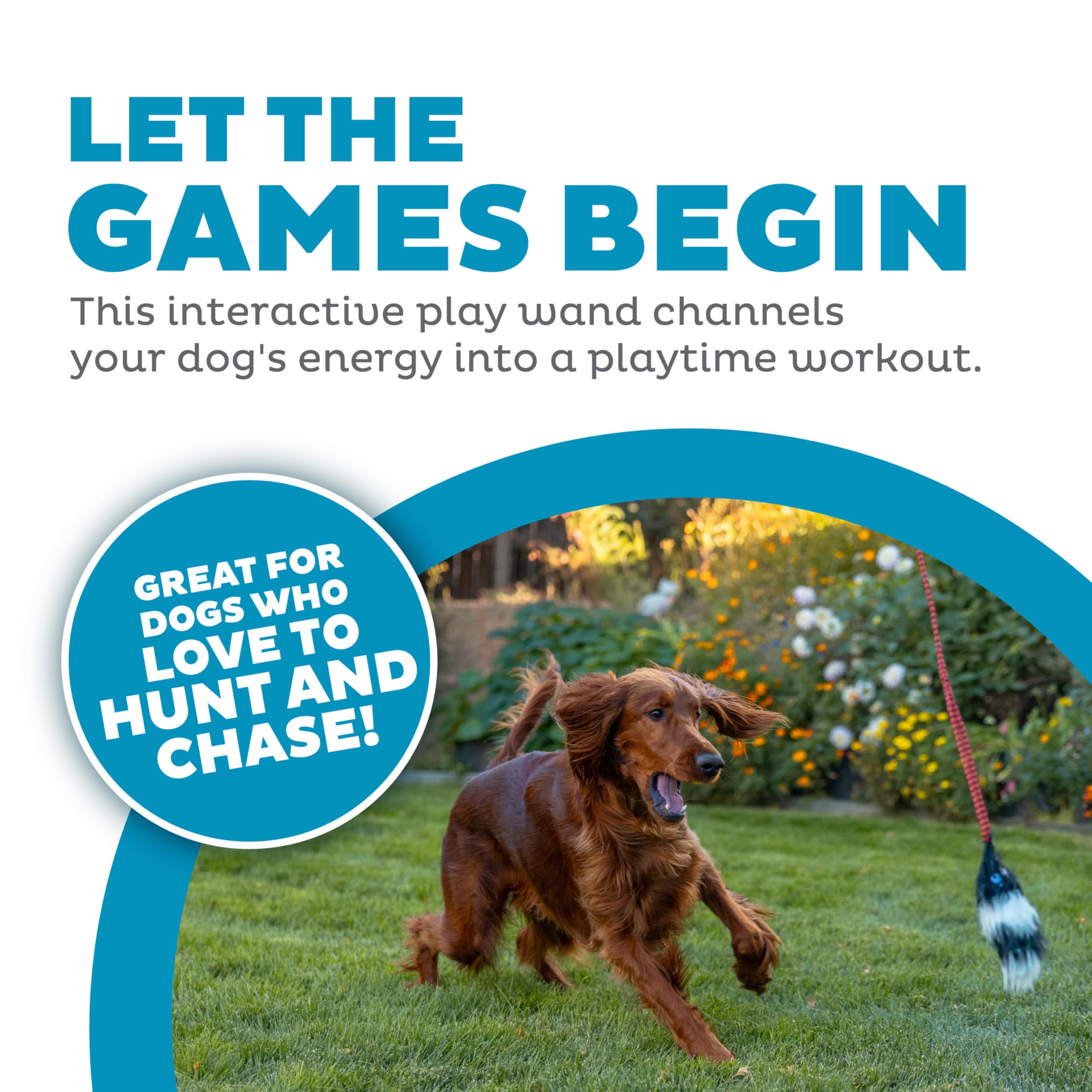 Outward Hound Tail Teaser montre des sons crinkle pour l'excitation pendant le jeu.