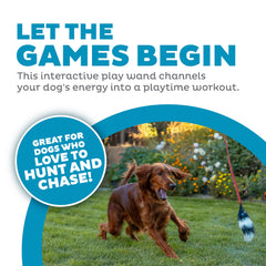 Outward Hound Tail Teaser montre des sons crinkle pour l'excitation pendant le jeu.