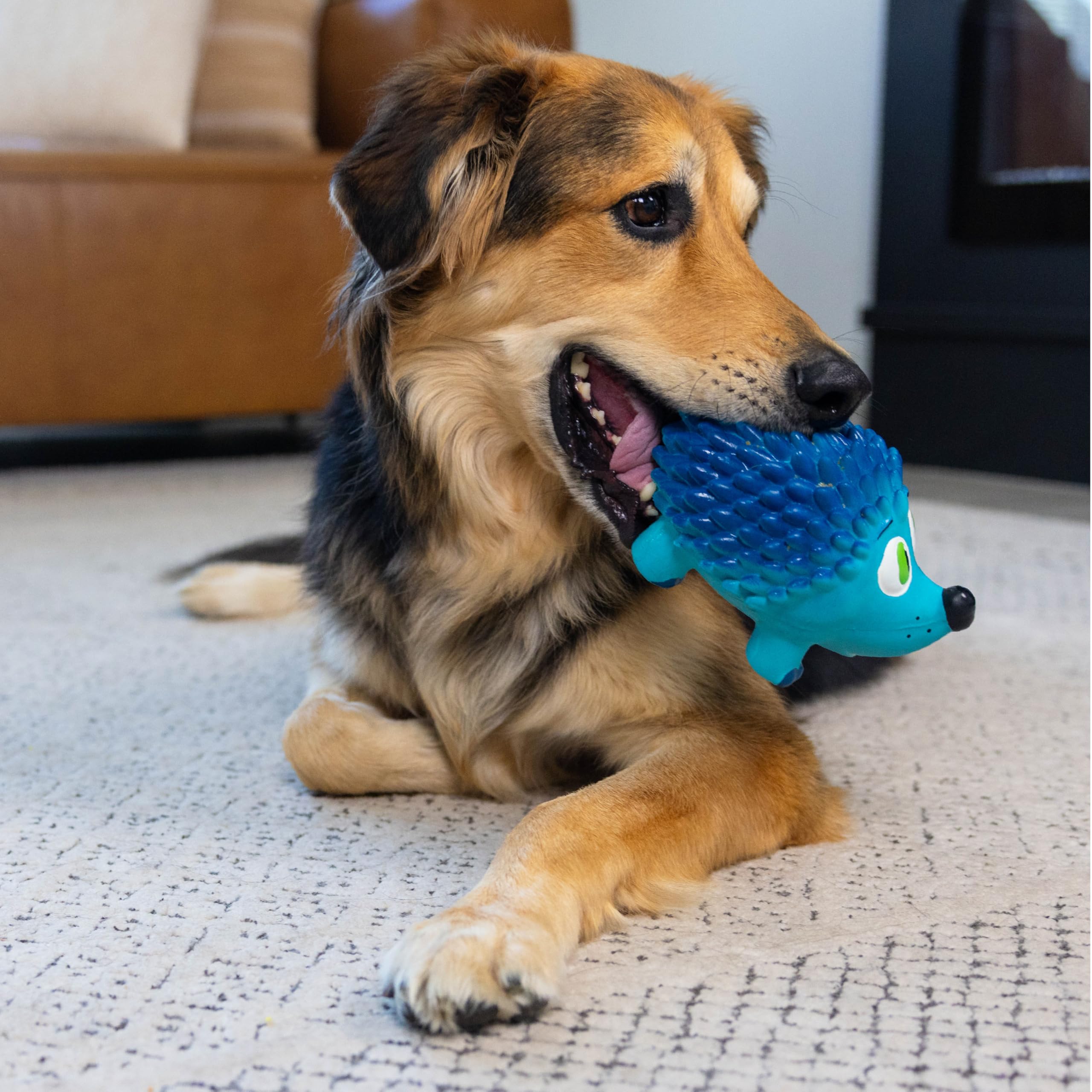 Outward Hound Tootiez son grognant, jouet interactif et stimulant