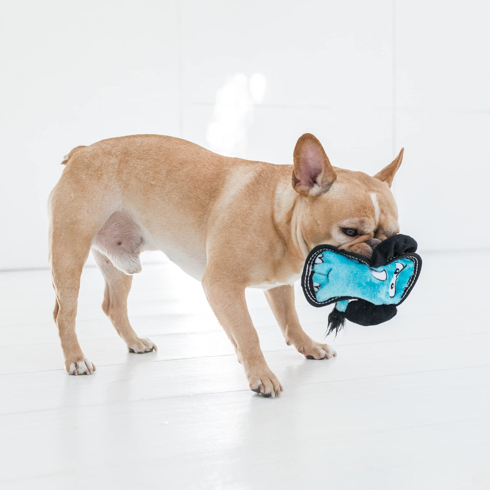 Outward Hound Tough Seamz Lion, supervision recommandée: pas à mâcher agressif