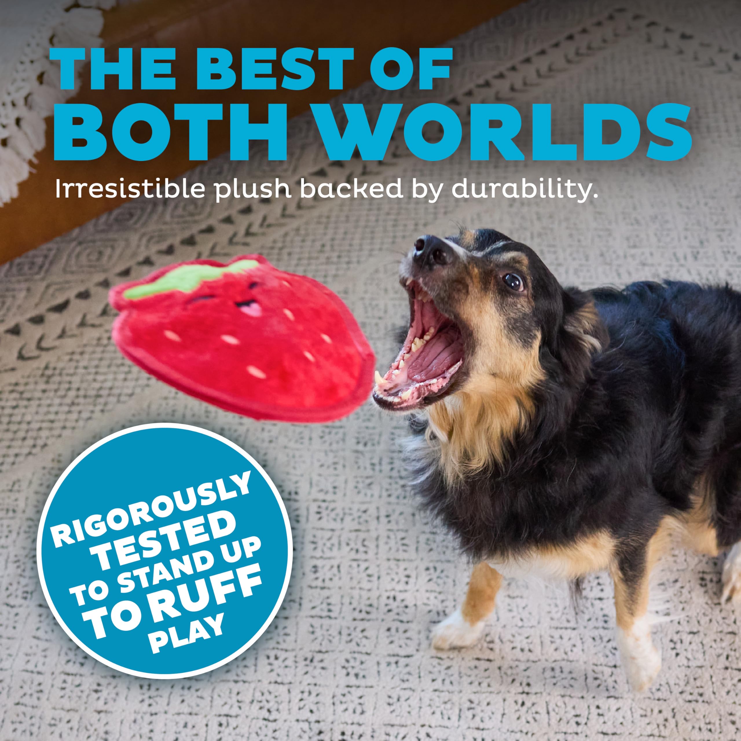 Outward Hound Tough Skinz montrant coutures triples renforcées.