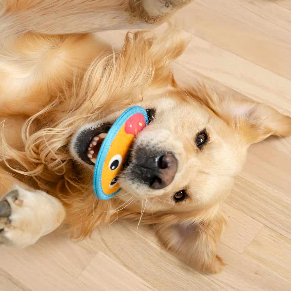 Outward Hound Tough Skinz lancer et rapporter, parfait pour les jeux de lancer et rapport.