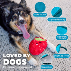 Outward Hound Tough Skinz extérieur plush doux, intérieur résistant.