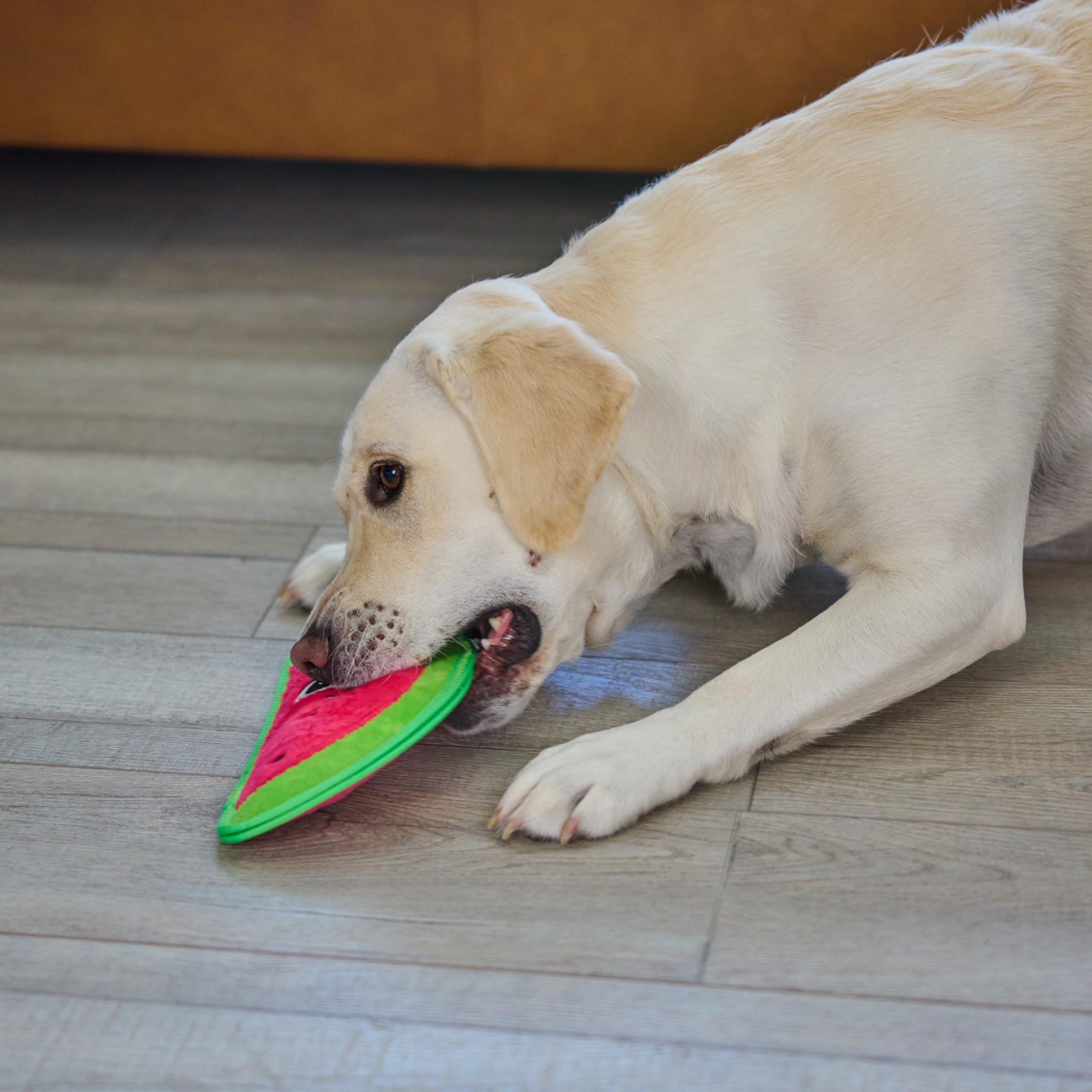 Outward Hound Tough Skinz, usage-tug-fetch pour chiens actifs et robustes.