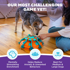 Outward Hound Tour des friandises niveau 4 – roue interactive stimulante pour l'intelligence canine.
