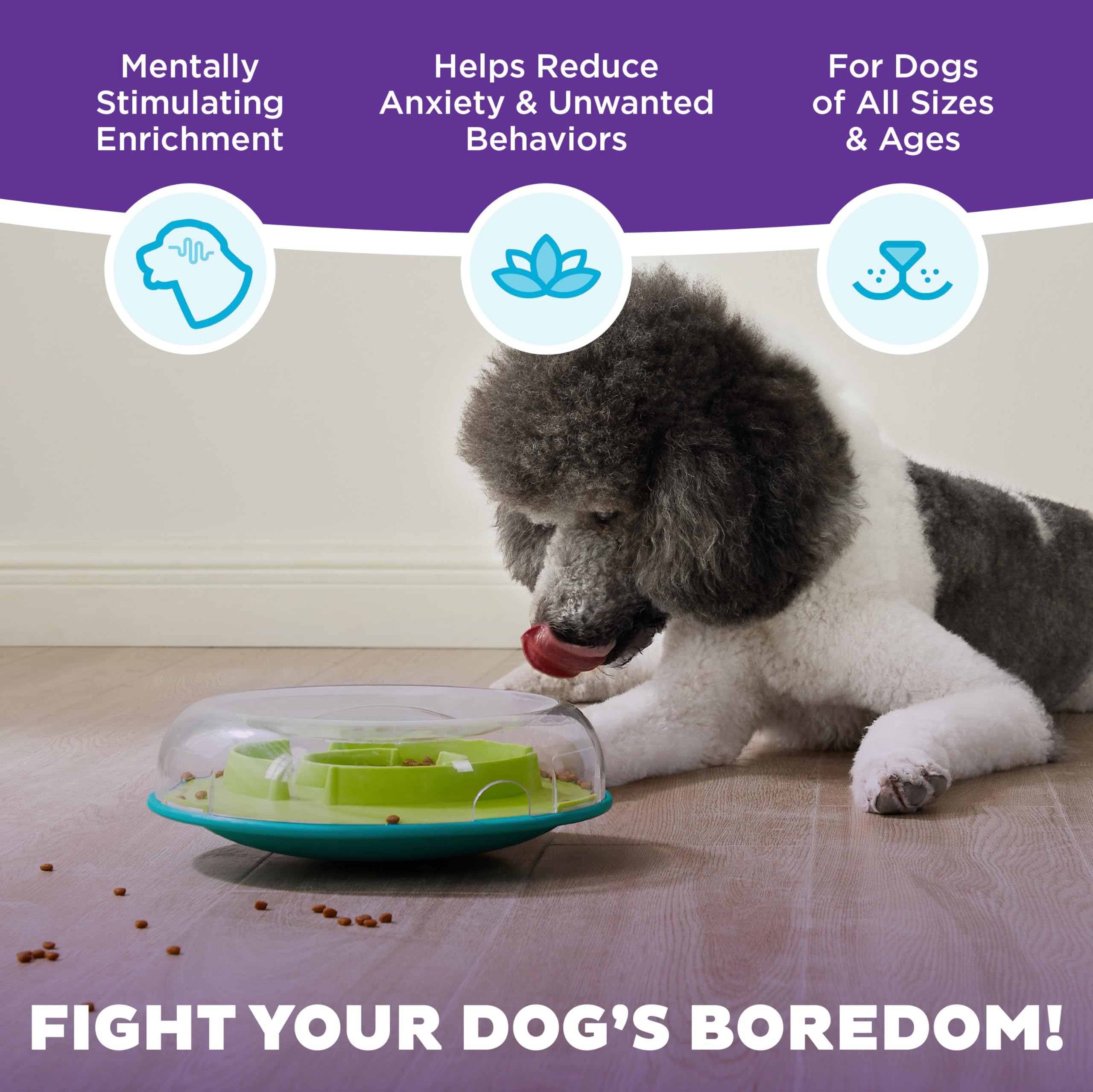 Wobble Bowl Outward Hound: jeu d’enrichissement stimulant et divertissant.