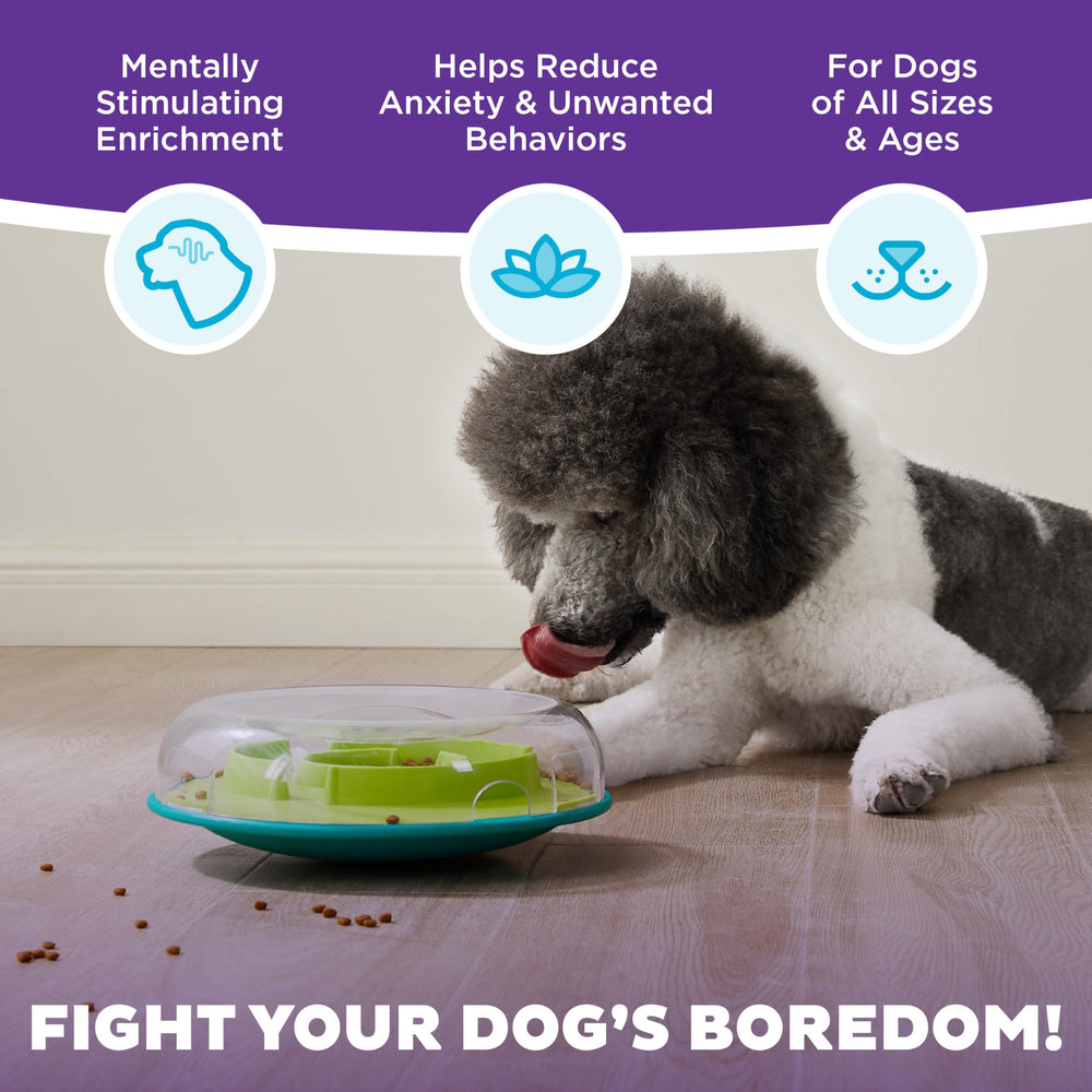 Wobble Bowl Outward Hound: jeu d’enrichissement stimulant et divertissant.