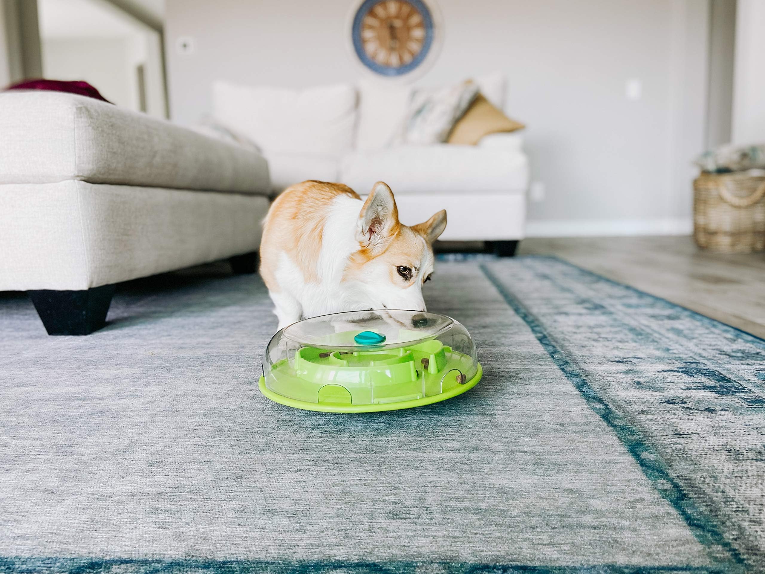 Wobble Bowl Outward Hound: stimule l’esprit et lutte contre l’ennui.