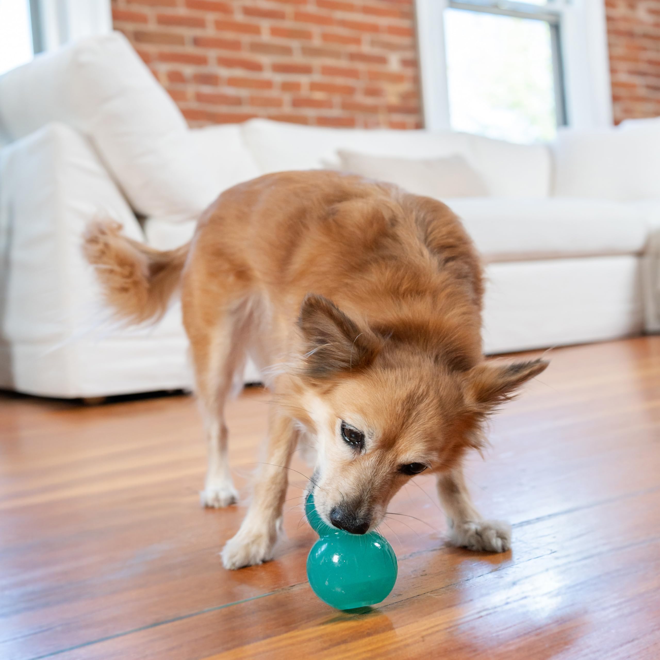 Outward Hound Double-Tuff, jeu d’enrichissement pour stimulation mentale et physique.