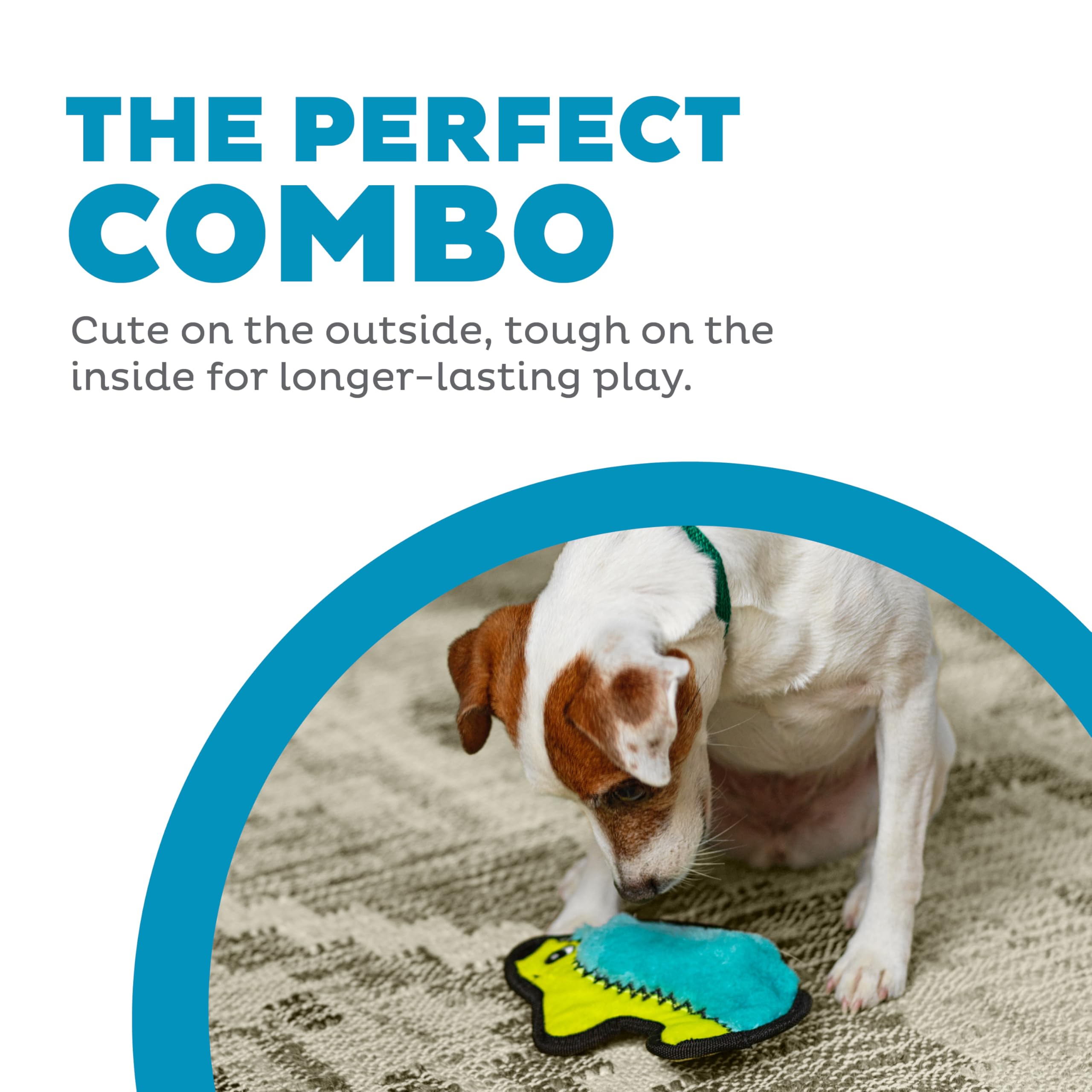 Outward Hound Durablez Minis – jouet interactif peluche, résistant pour chiens