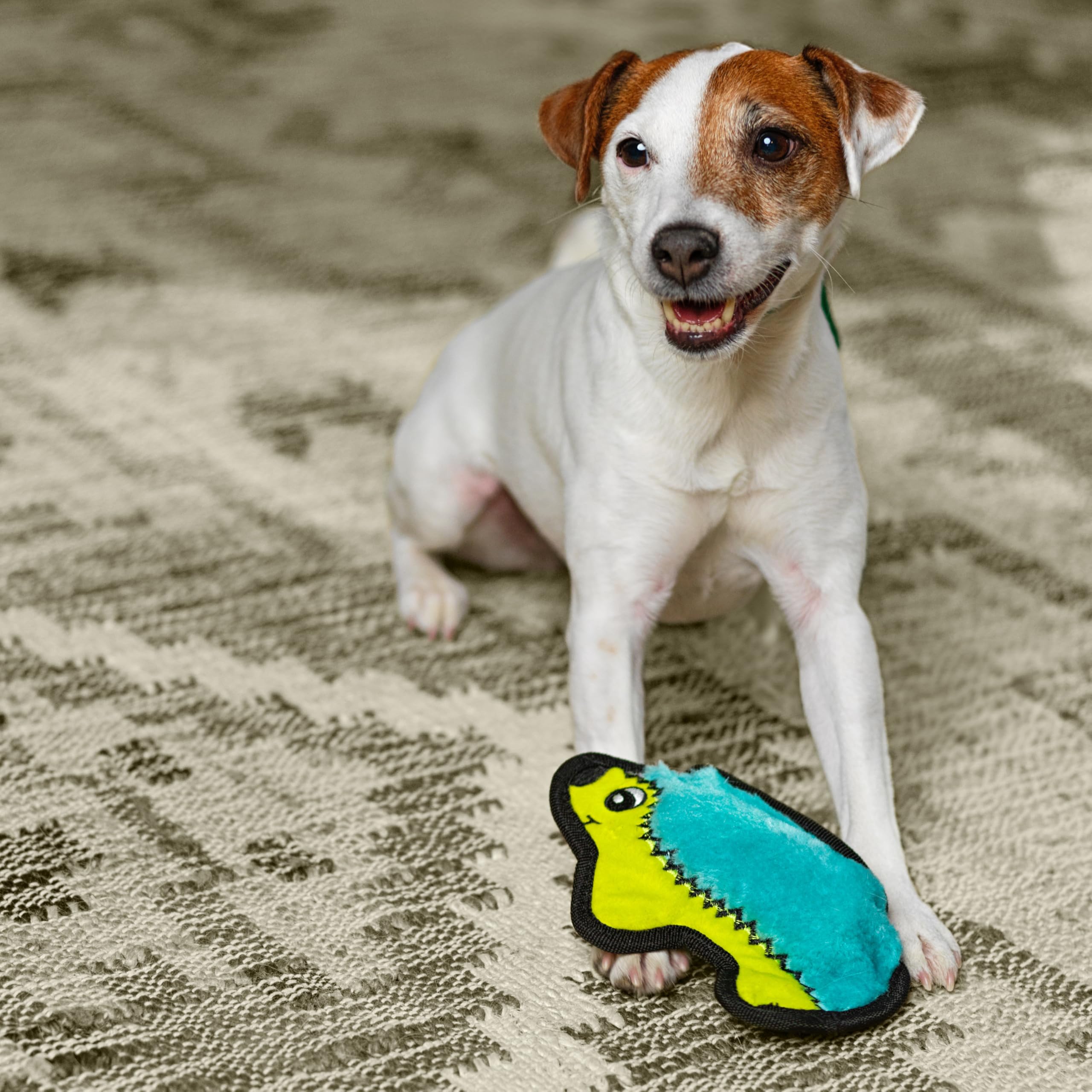 Outward Hound Durablez Minis – sifflets géants pour stimulation sonore