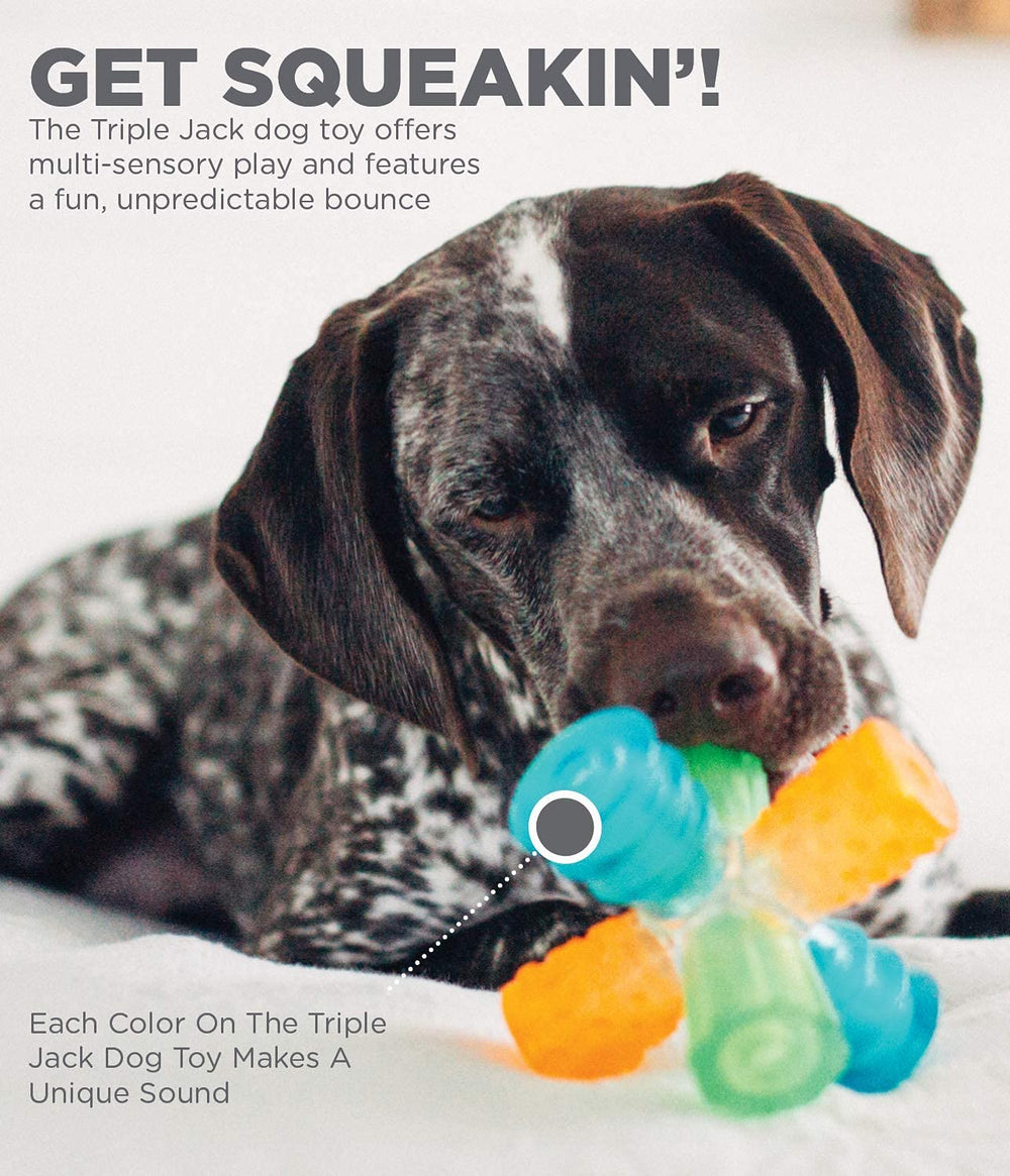 Outward Hound Triple Jack: rebondissement imprevisible pour garder le chien engagé.