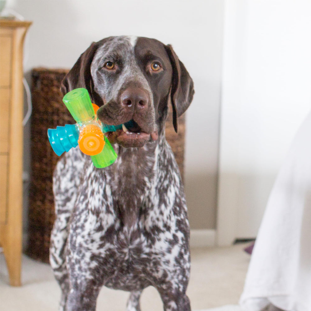 Outward Hound Triple Jack: sifflement audible pour stimuler l'attention et l'excitation.