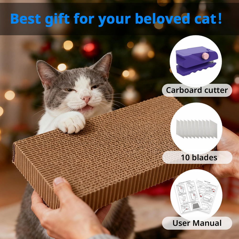 OUTXE réutilisation éco des boîtes pour grattoirs de chat
