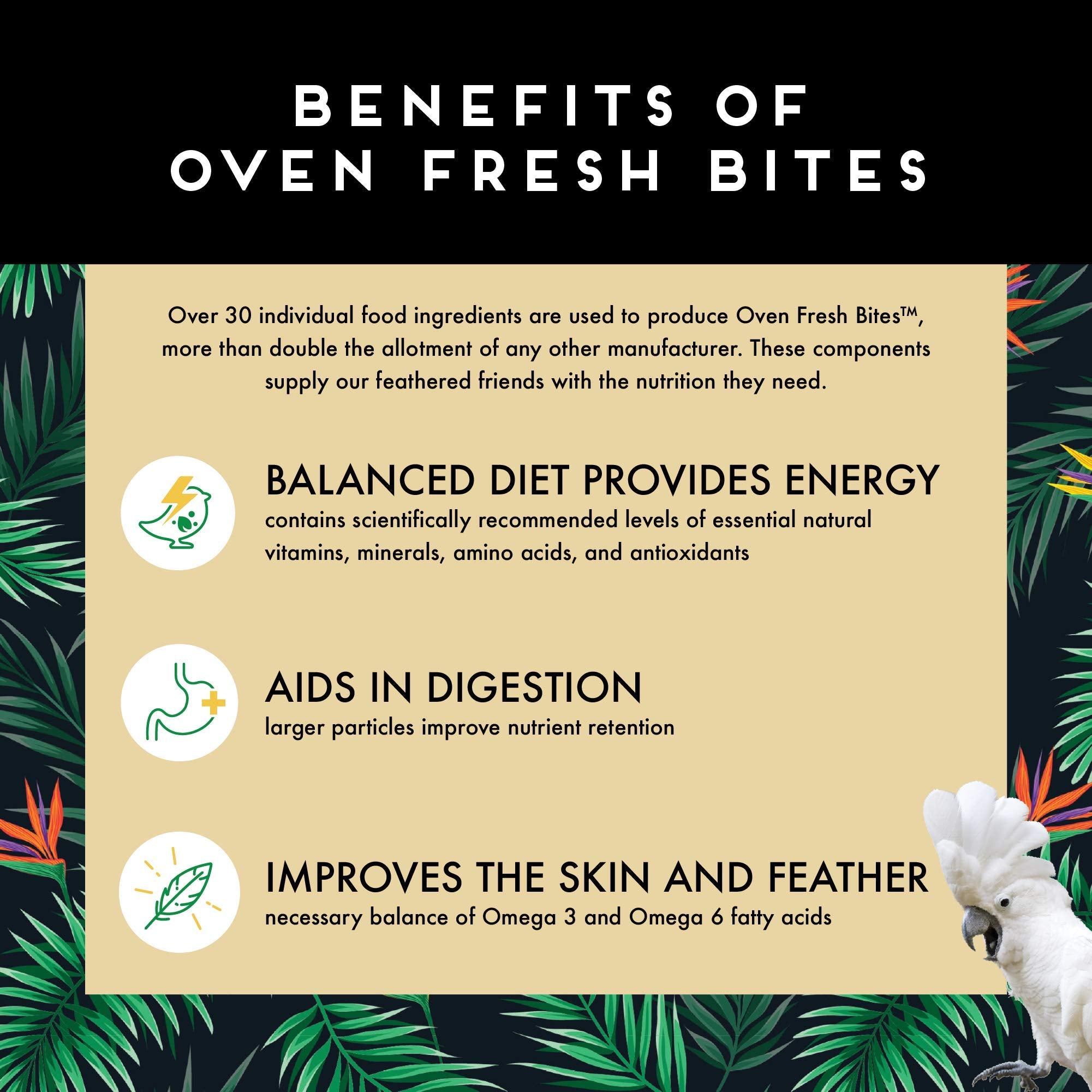 Oven Fresh Bites usage quotidien, pratique pour l'alimentation du perroquet moyen.